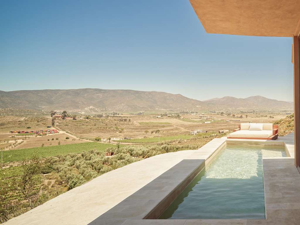 Banyan Tree Veya Valle de Guadalupe - Image 3