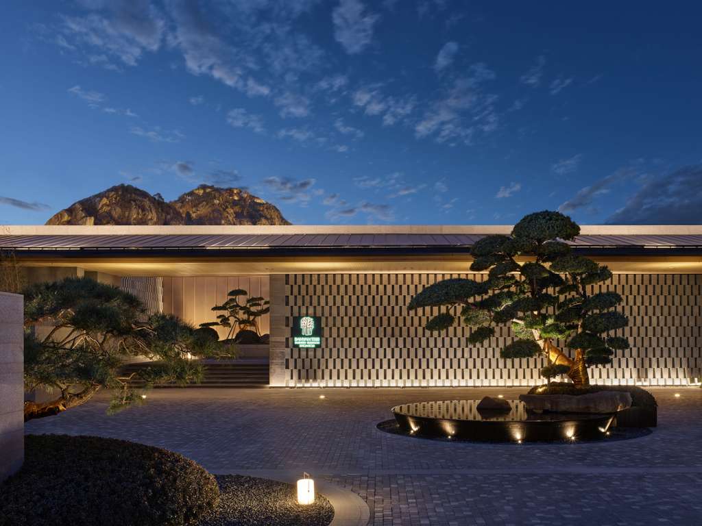 بانيان تري، جبل سوتشو شي - Image 3