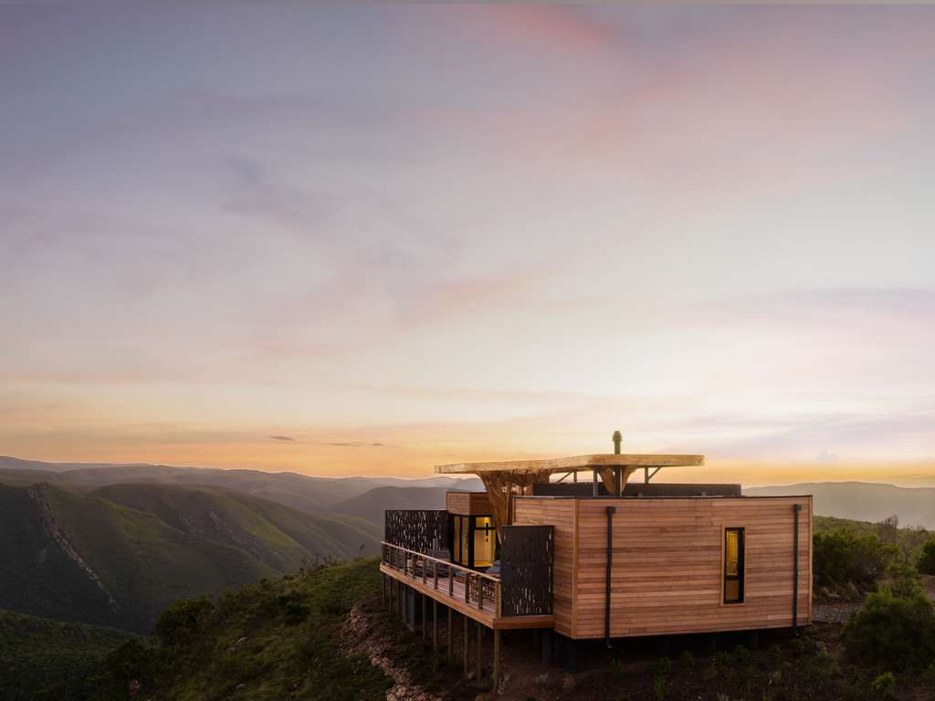 Mantis hiddn in Addo (Opening March 2026) - Image 4