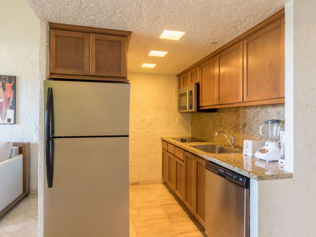 Classic Studio Room with a king-size bed , full equipped kicthen, balcony with garden view — photo 4