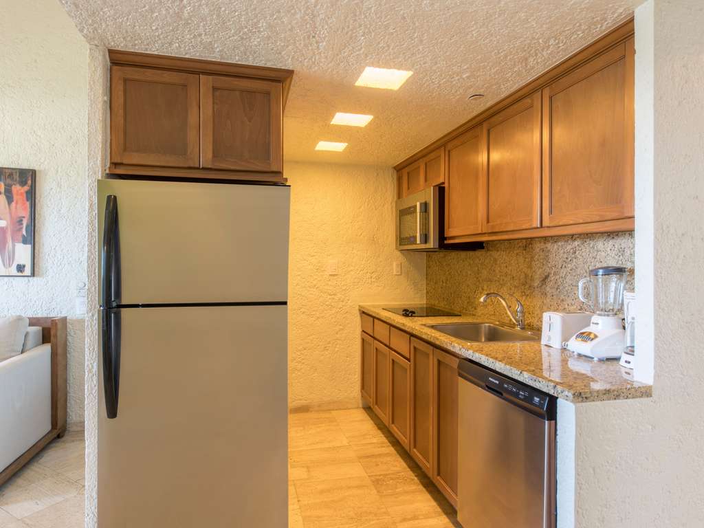 Classic One‑Bedroom with king bed, sofa bed, full kitchen, balcony, jacuzzi, garden view — photo 4
