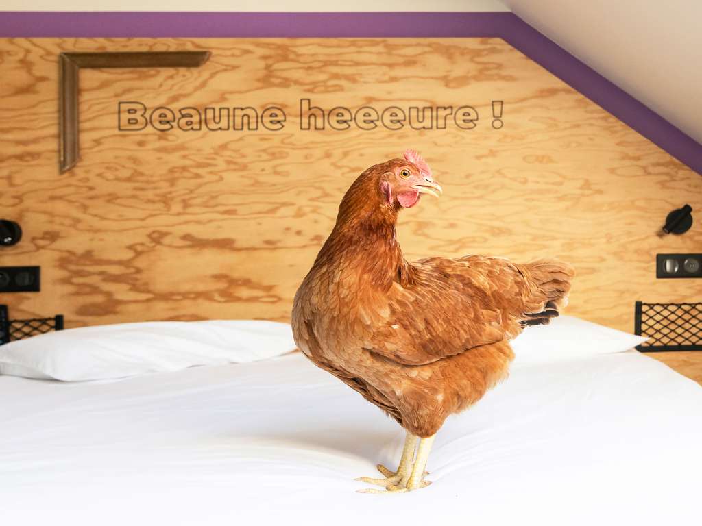 greet Hotel Potsdam am Park Sanssouci (Eröffnung April 2026) - Image 4