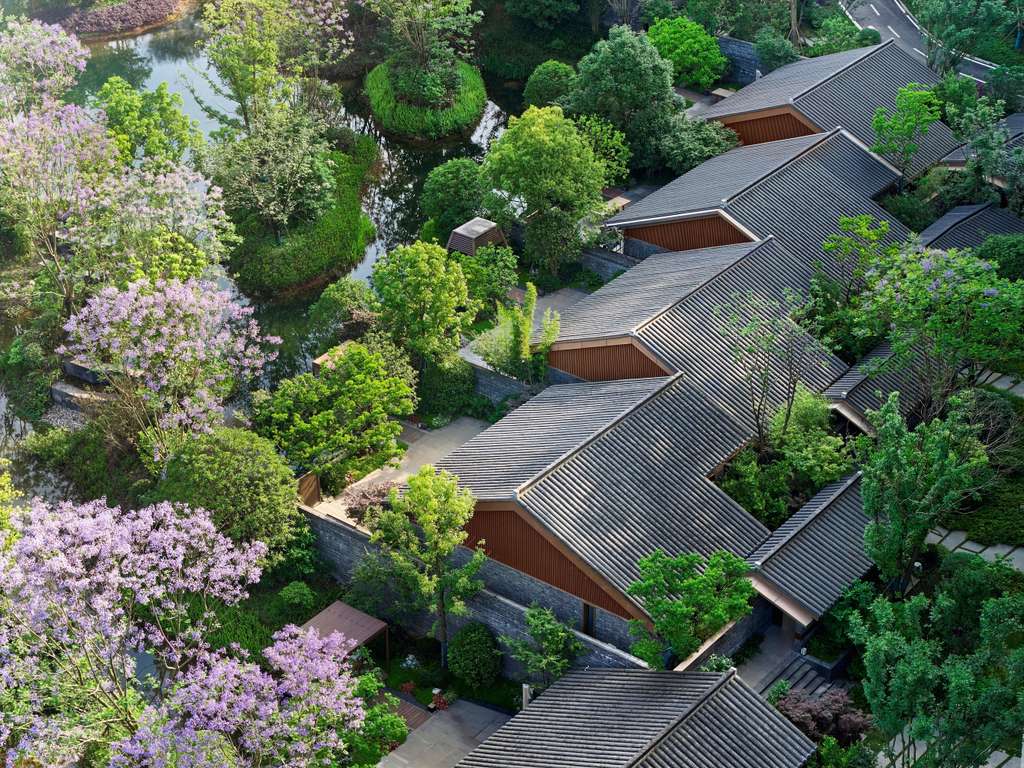 BANYAN TREE MOUNT EMEI - Image 2