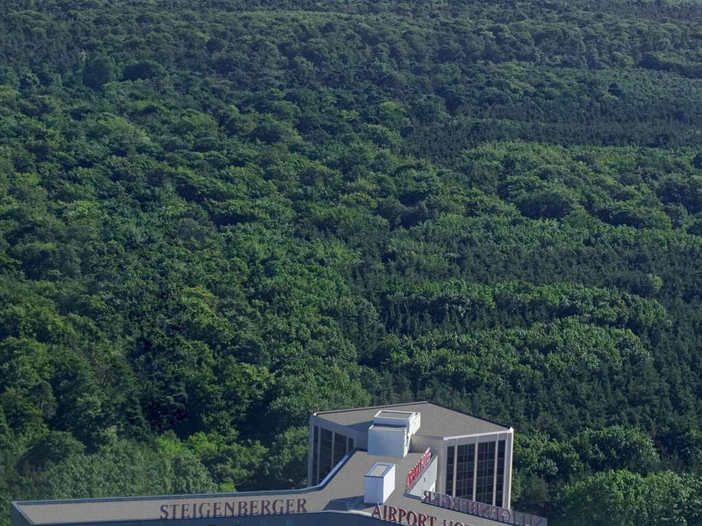 Steigenberger Airport Hotel Frankfurt - Coming soon - Image 4
