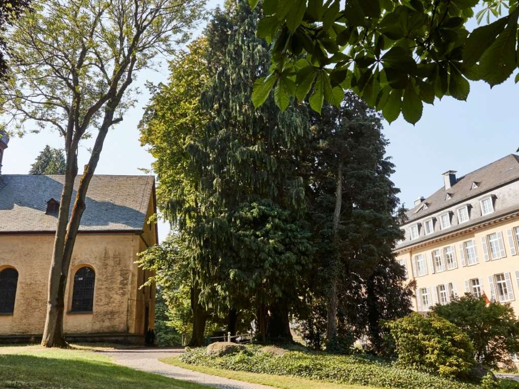 Steigenberger Icon Grandhotel & Spa Petersberg - Coming soon - Image 2