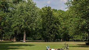 Netherlands - Breda hotels