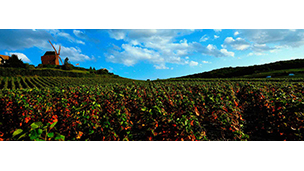 Francia - Hotel Epernay