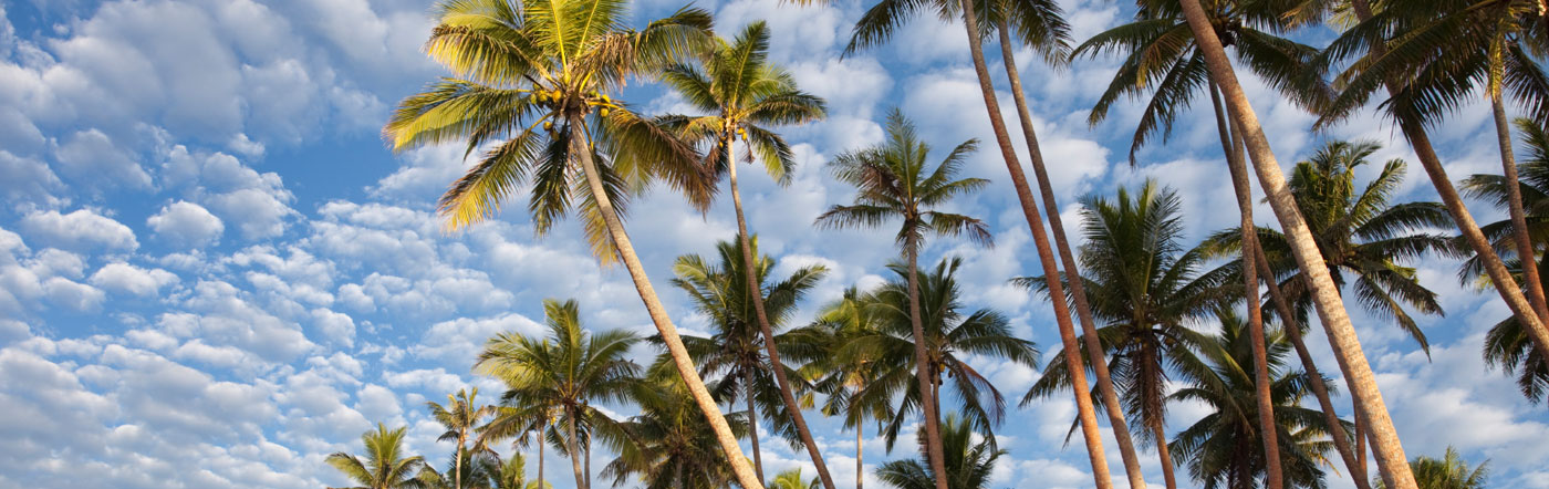 Fiji Islands - Nadi hotels