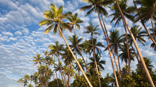 Wyspy Fidżi - Liczba hoteli Nadi