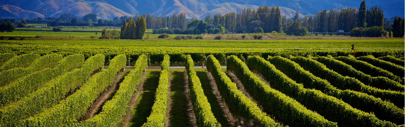 New Zealand - Nelson hotels