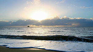 Australië - Hotels Palm Cove