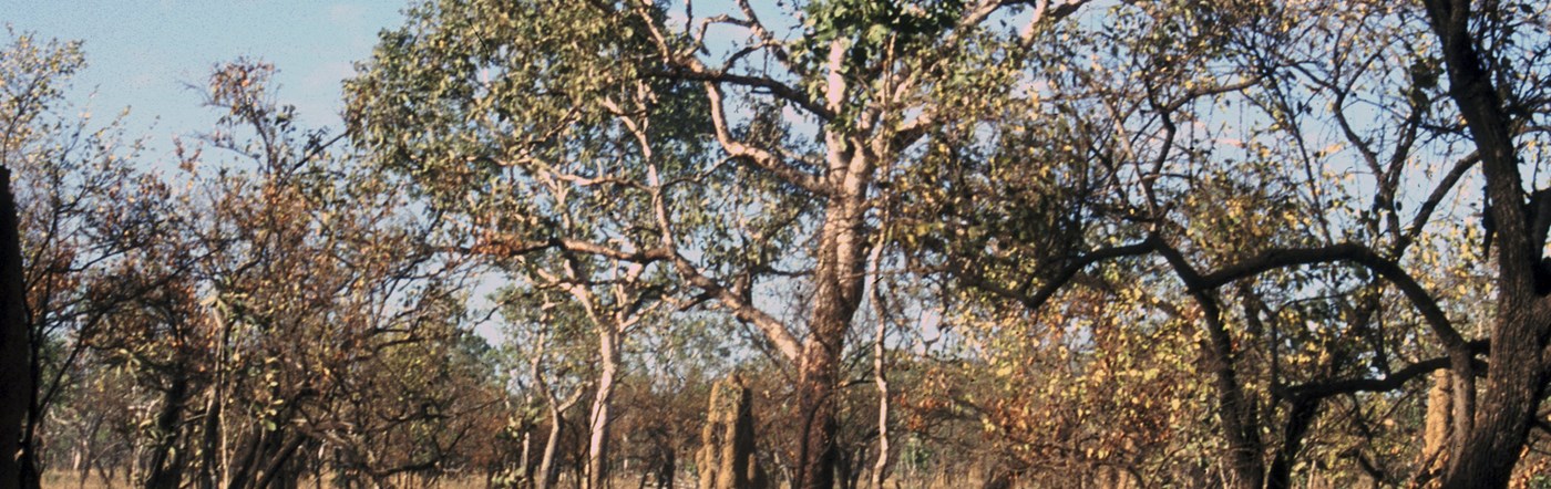 Australia - Jabiru hotels