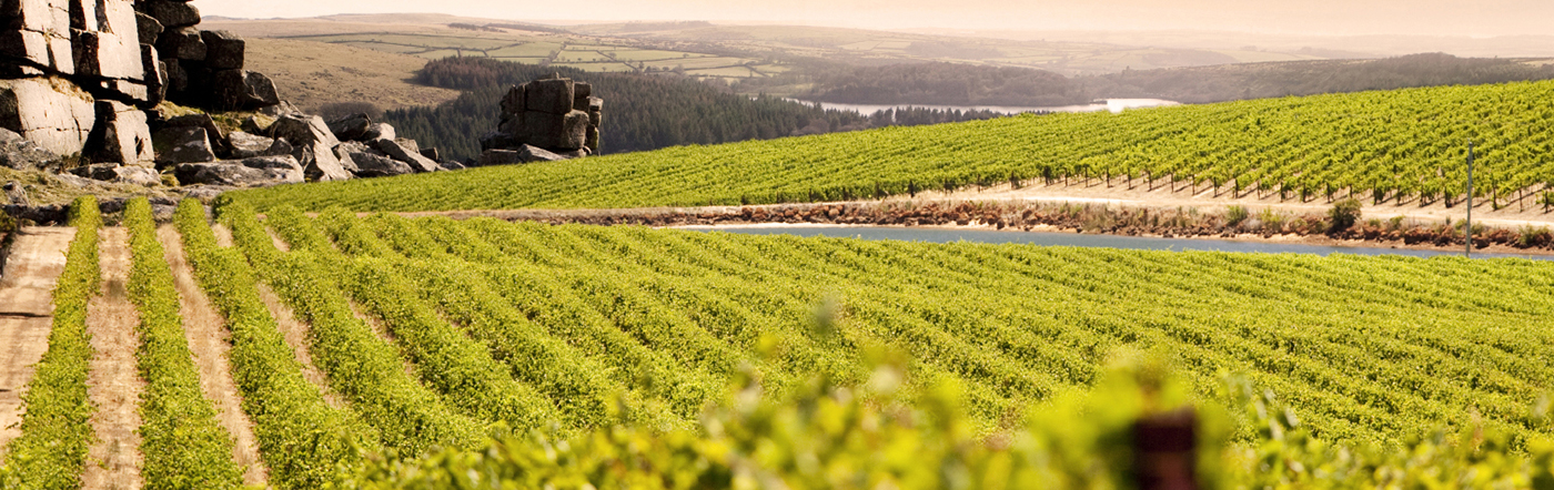 Australia - Liczba hoteli Adelajda