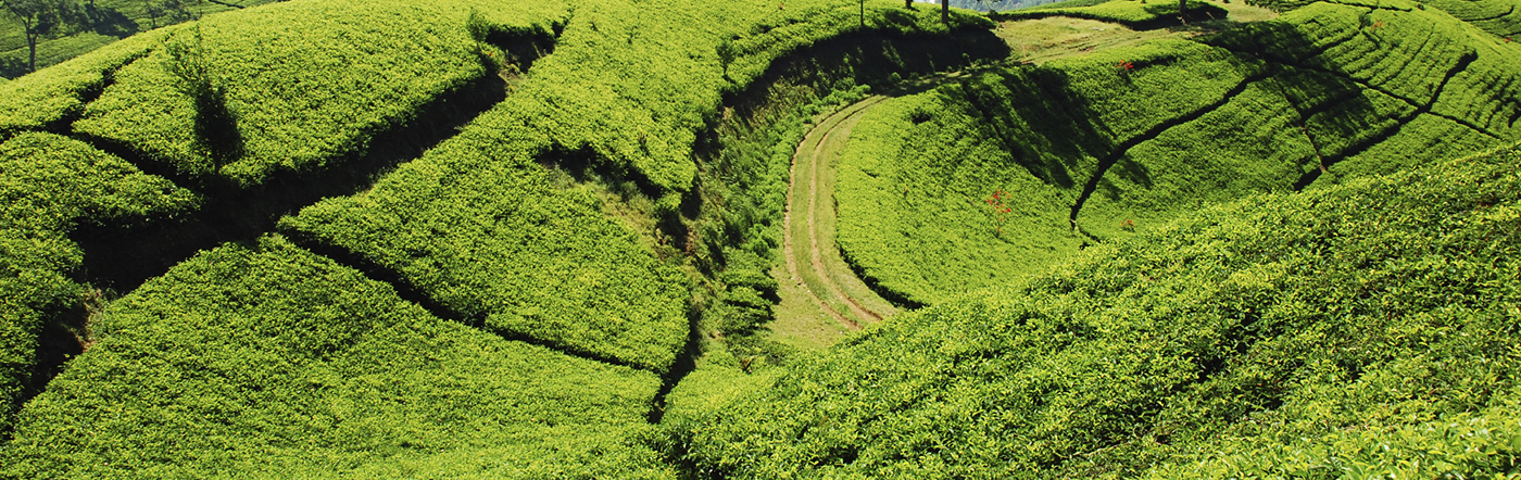 Indonesia - Bandung hotels