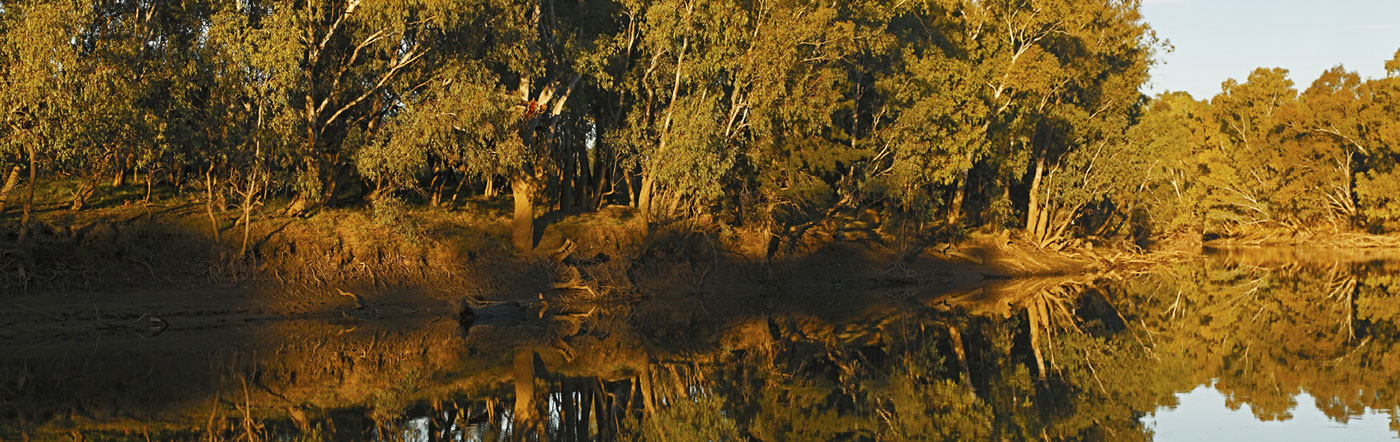 Australia - Wagga Wagga hotels