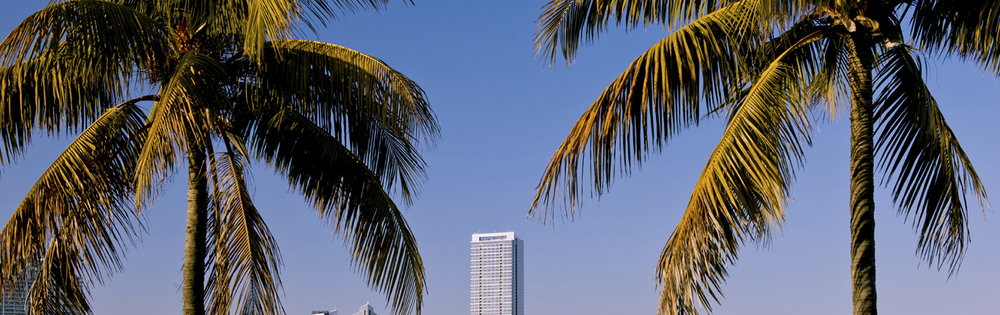 Hotels In Miami Book Online Now Accorhotels United States Miami Hotels