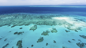 Australia - Hotel Cairns