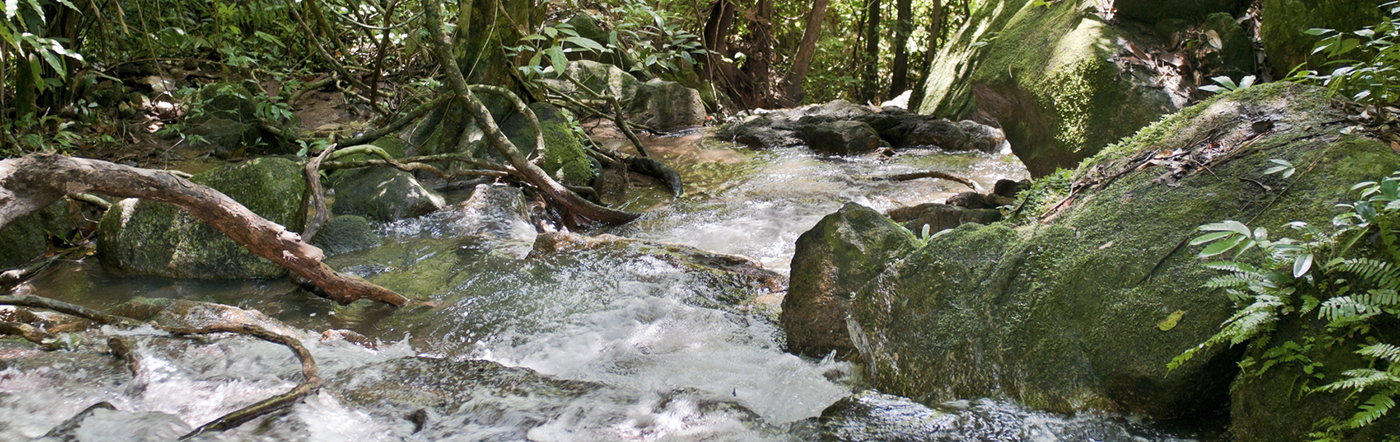 Thailand - Phuket hotels