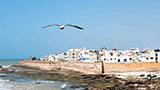 Marokko - Essaouira Hotels
